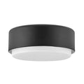 Cedric 2L Flush Mount - 30073BK