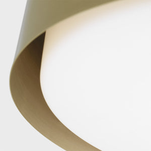 Dartmore 2L flush mount - DJF1042SB *