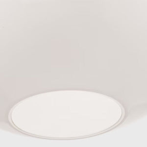 Colewood 1L pendant - DJP1191MBK